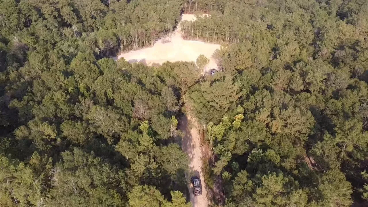 Aerial view of a fresh clearing and access lane cut out of dense pine woods, with cleared dirt where trees and brush were removed