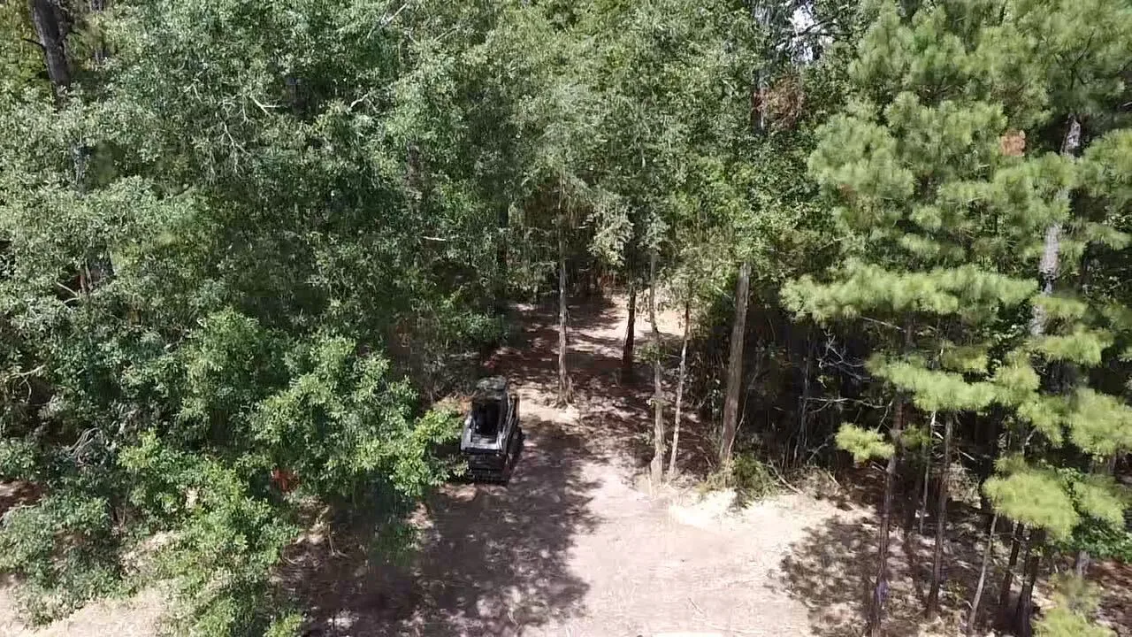 Aerial view of a tracked mulching machine working between mature pines, with the understory cleared to open ground around the kept trees